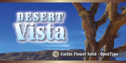 Cactus Flower SG Fuente Póster 4