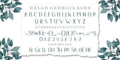Hello Georgia Script Font Poster 3