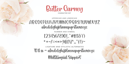 Butter Carney Font Poster 6