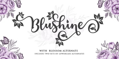 Blushine Font Poster 1