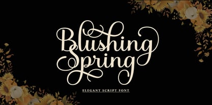 Blushing Spring Font Poster 1