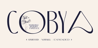 Cobya Font Poster 6