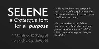 Selene Font Poster 4