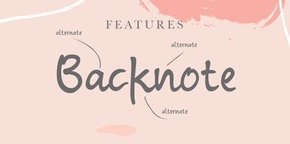 Backnotes Font Poster 5