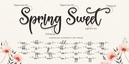 Spring Sweet Font Poster 8