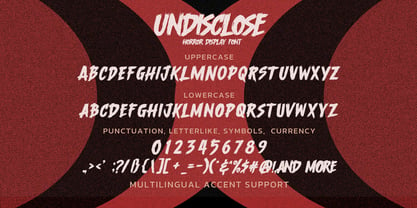 Undisclose Font Poster 6