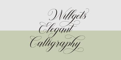 Willgets Calligraphy Font Poster 6