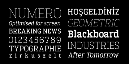 Finalist Round Slab Variable Font Poster 6