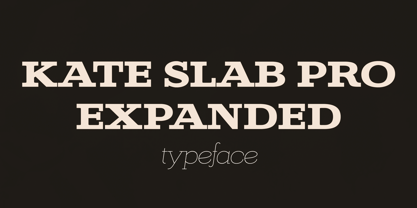 Kate Slab Pro Expanded Font Poster 1