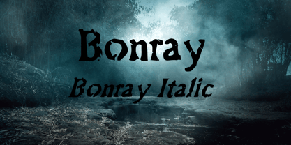 Bonray Font Poster 1