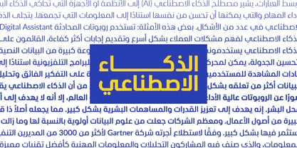 Alilato Arabic Font Poster 5