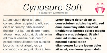 Cynosure Soft Font Poster 9