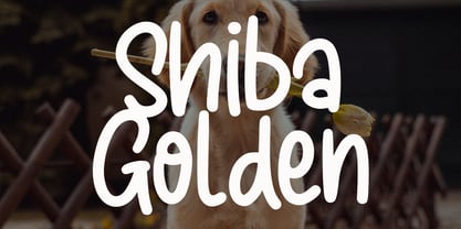 Sunny Goldie Font Poster 3