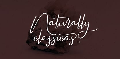 Americans Classy Font Poster 5