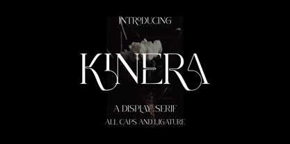 Kinera Police Poster 1