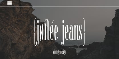 Fiona Pro Font Poster 6
