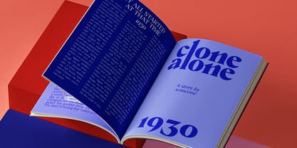 Crucial Font Poster 10