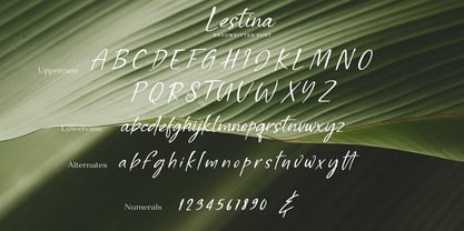 Lestina Font Poster 10
