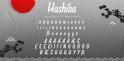 Hashiba Japanese Font Fuente Póster 13