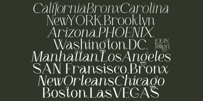 LOUIS felligri Font Poster 12