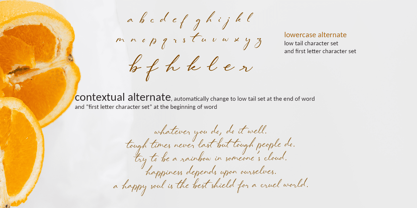 Lovely Hydrillas Font Poster 9