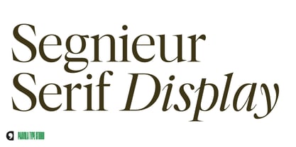 Segnieur Serif Display Font Poster 1