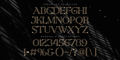 Qiunels Font Poster 8