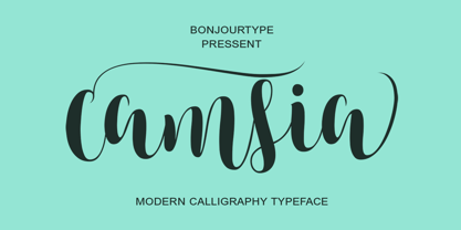 Camsia Font Poster 1