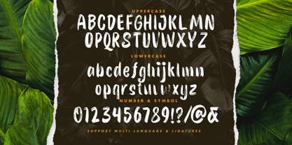 Fulline Font Poster 8