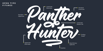 Panther Hunter Fuente Póster 2