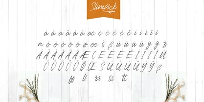 Slimpick Font Poster 11
