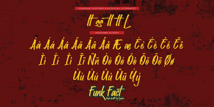 Funk Fact Font Poster 7