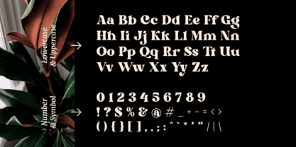 Bright Font Poster 13