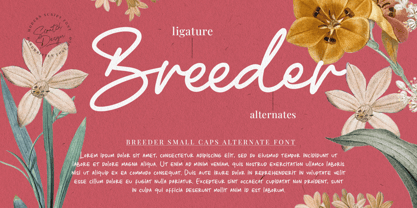 Breeder Font Poster 1