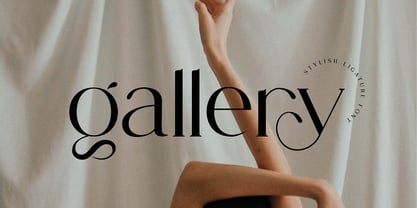 Gallery Serif Font Poster 1