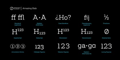 Amazing Slab Font Poster 15