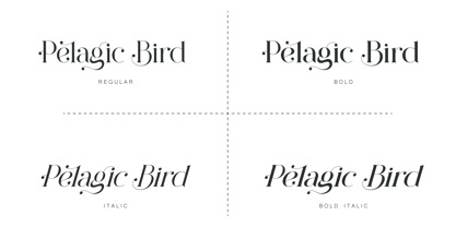 Pelagic Bird Font Poster 10