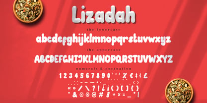 Lizadah Font Poster 8