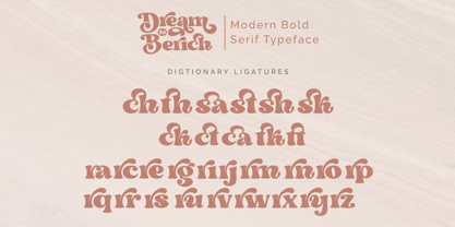 Dream to Berich Font Poster 14