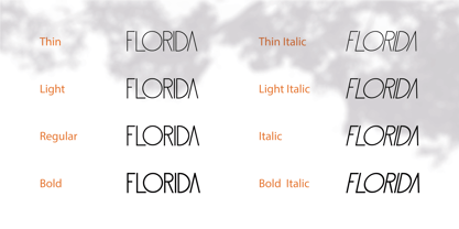 Florida Rose Font Poster 12