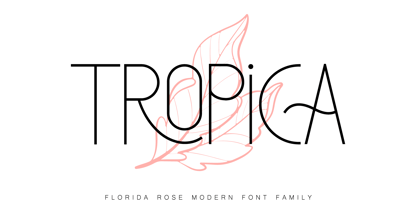 Florida Rose Font Poster 6