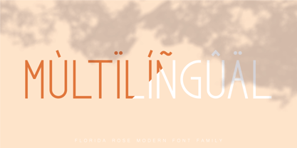 Florida Rose Font Poster 15