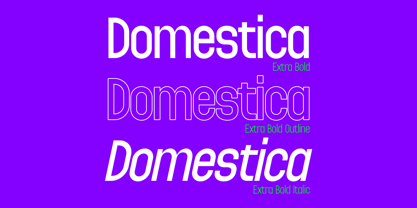 Domestica Font Poster 7