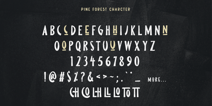 Pine Forest Font Poster 5