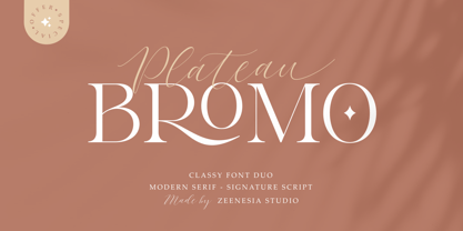Bromo Plateau Font Poster 1