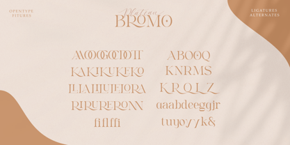 Bromo Plateau Font Poster 4