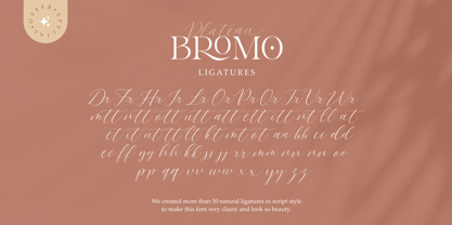Bromo Plateau Font Poster 12