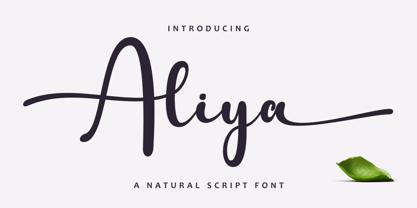 Aliya Script Font Poster 1