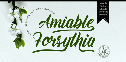Amiable Forsythia Font Poster 1