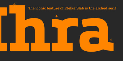Etelka Slab Font Poster 3